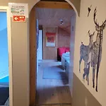 슐라프츌 게스트하우스 3*